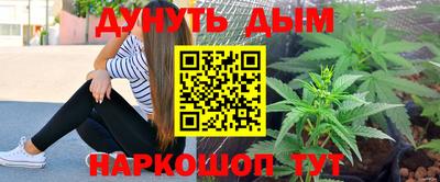 трава Новозыбков