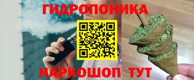 трава Новозыбков