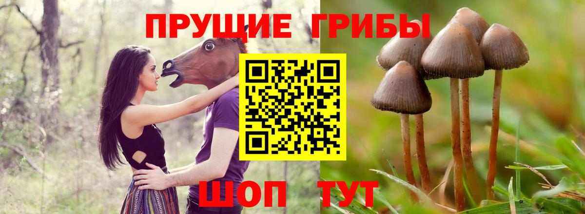 Сочи  Галлюциногенные грибы GOLDEN TEACHER  Вход с VPN 