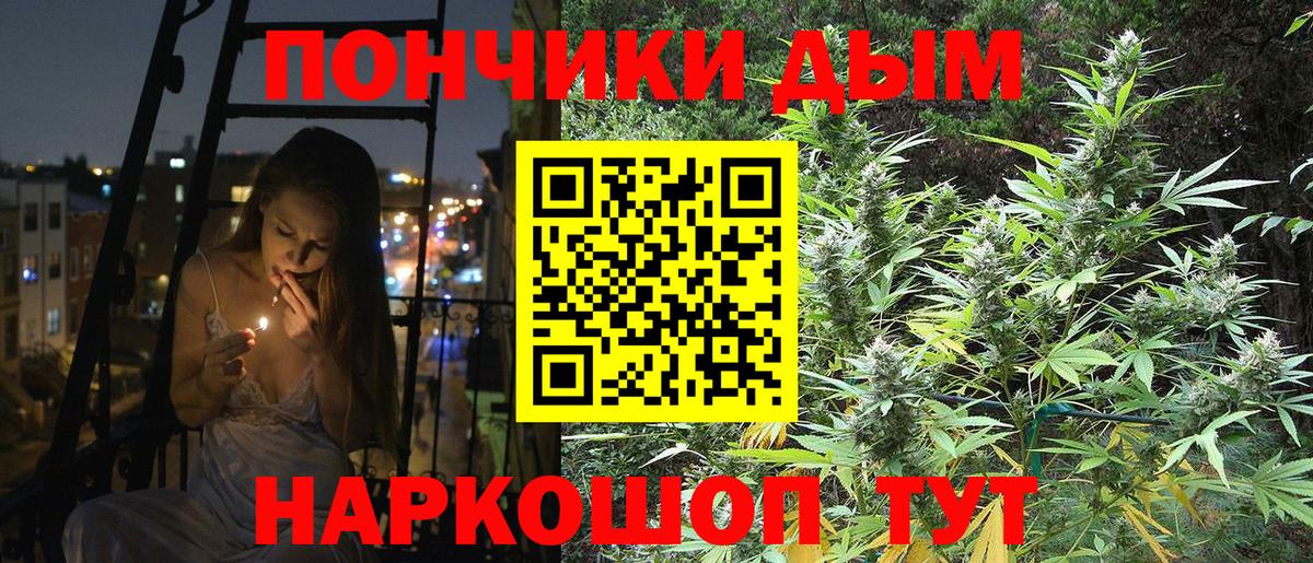 Каннабис индика Сочи